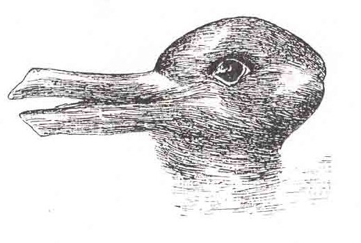 Der Hasen-Enten-Kopf, aus: www.spring.org.uk